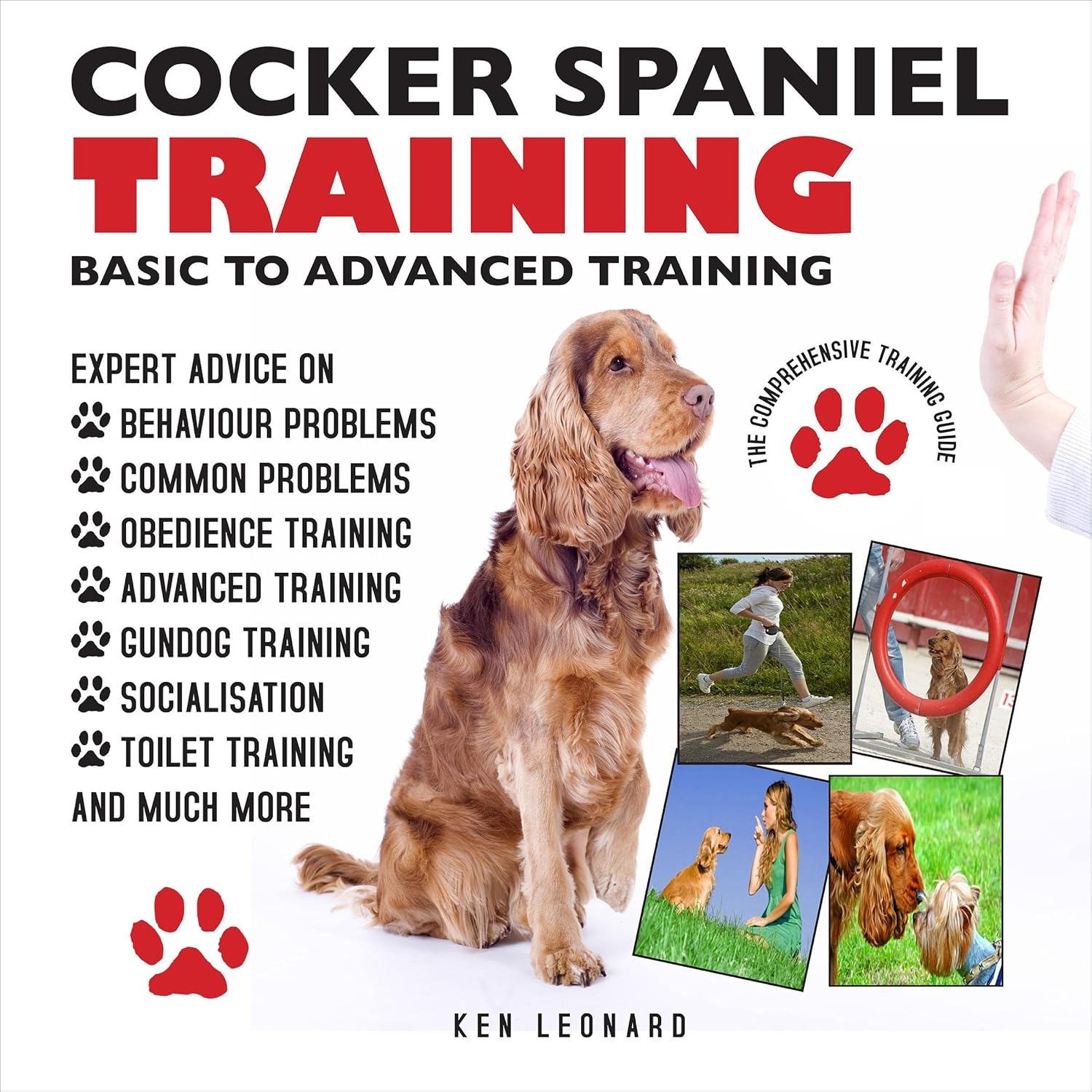 Cocker Spaniel Training: Basic to Advanced Training: The Comprehensive Training Guide 1 spaniel training books