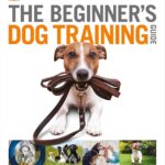 The Beginner’s Dog…