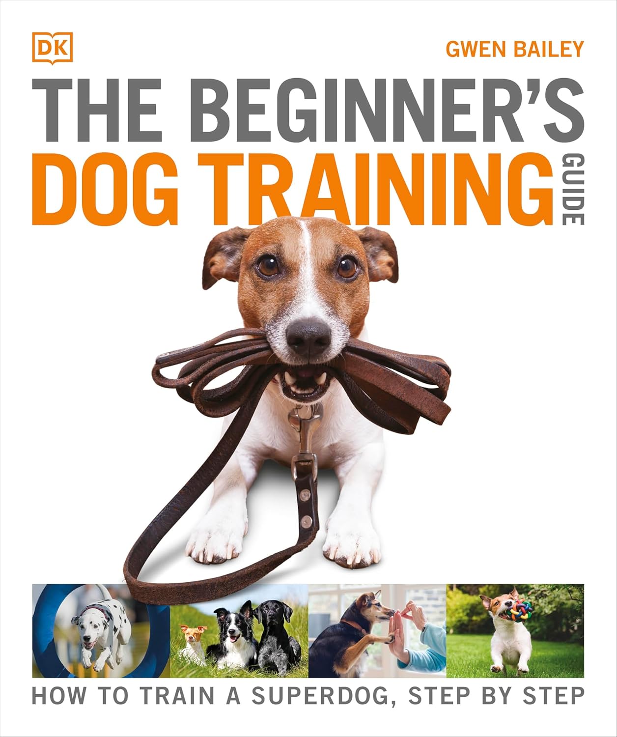 spaniel training books