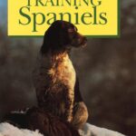 Training Spaniels (Cambridge Tracts in Mathematics, Series Number 124)