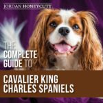 The Complete Guide to Cavalier King Charles Spaniels: Selecting, Training, Socializing, Caring For, and Loving Your New Cavalier Puppy