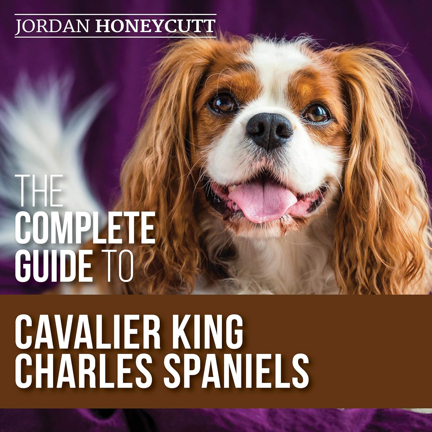 The Complete Guide to Cavalier King Charles Spaniels: Selecting, Training, Socializing, Caring For, and Loving Your New Cavalier Puppy 1 spaniel training books