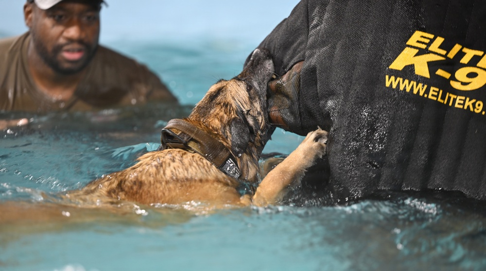 DVIDS - Images - RAFM MWDs perform first water-confidence training in tri-base, UK [Image 16 of 16]