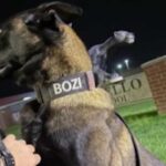 Monticello police chief adopts Bozi after K9 training falls short