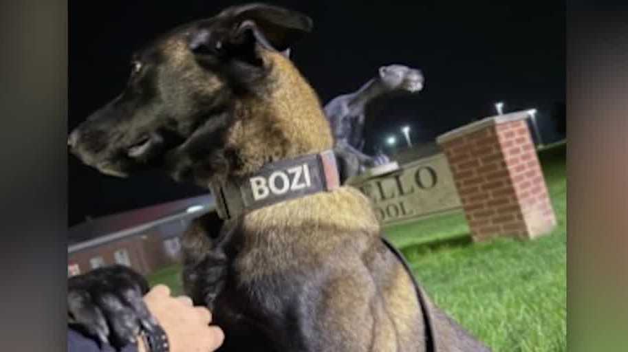 Monticello police chief adopts Bozi after K9 training falls short