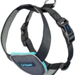 CarSafe Dog Travel Car Harness – from the makers…