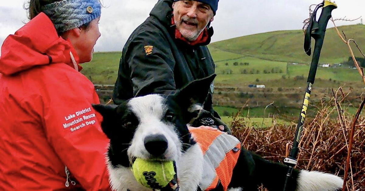 Lake District: Search and rescue dogs take part in training day