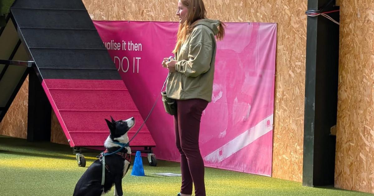 Tottington dog trainer recognised in Animal Star Awards