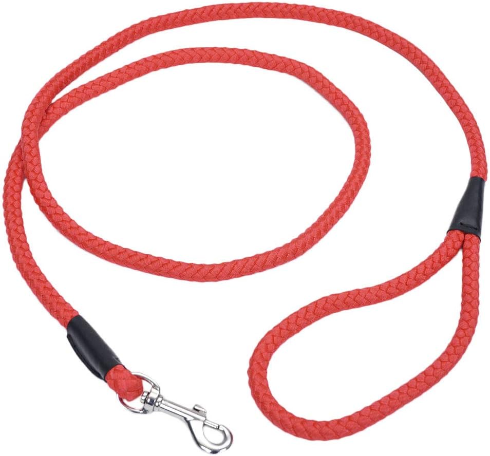 Coastal Pet Products 00206 RED06 Dog Leash, 6'
