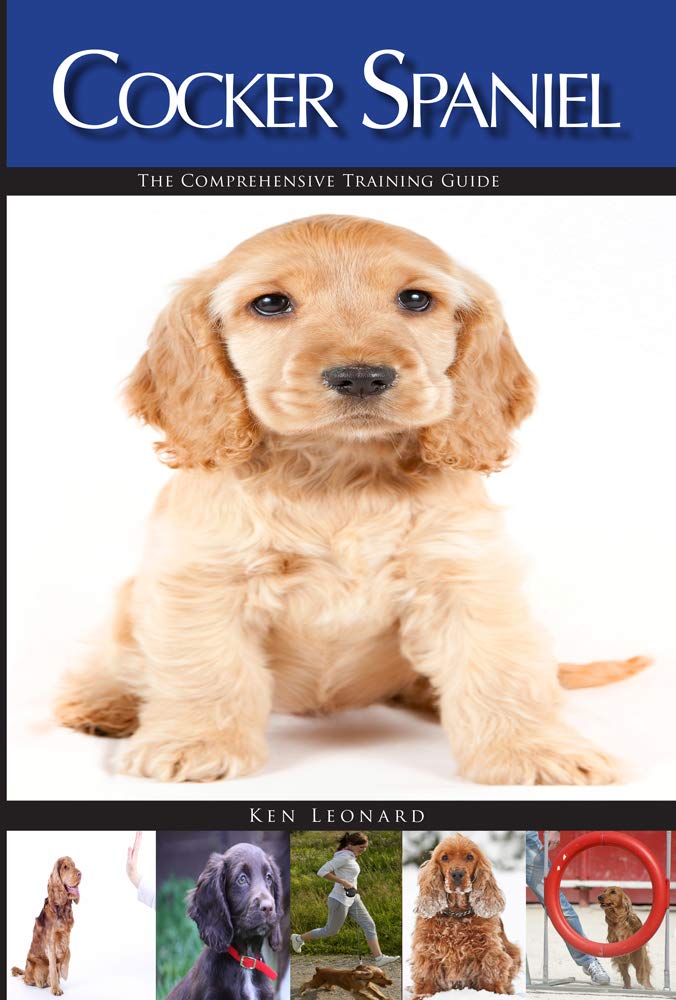 COCKER SPANIEL: THE... 1 cocker spaniel training book