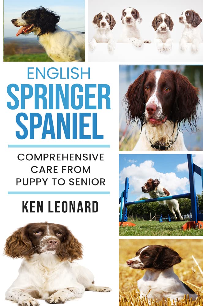 English Springer Spaniel:... 1 spaniel training books