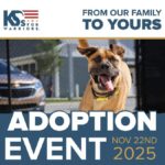 K9s For Warriors Adoption Event – November 22