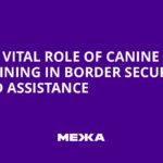 The Vital Role of Canine Training in Border Security and Assistance | Ukraine news