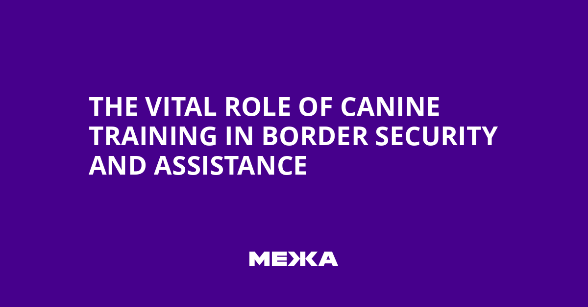 The Vital Role of Canine Training in Border Security and Assistance | Ukraine news 2 The Vital Role of Canine Training in Border Security and Assistance | Ukraine news