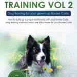 Border Collie Training…