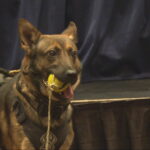 Indiana State Police seek facility to train police dogs for law enforcement duties