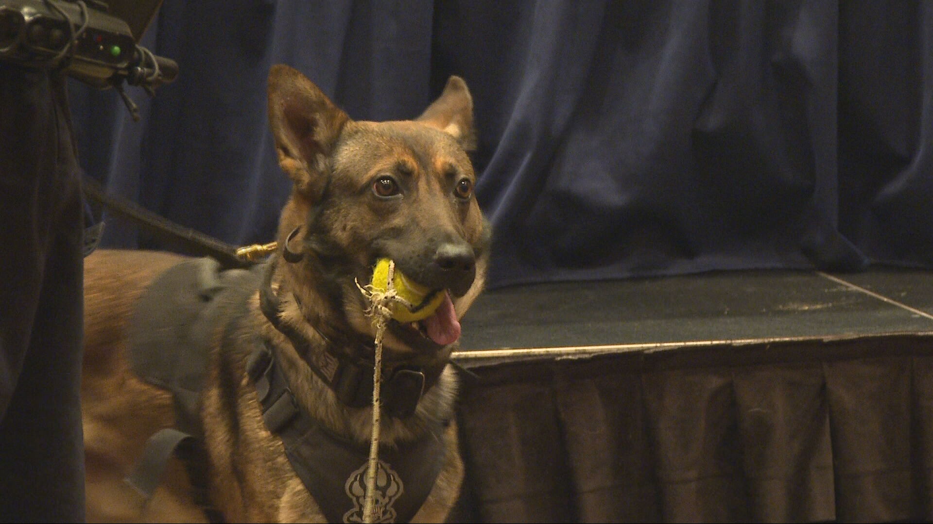 Indiana State Police seek facility to train police dogs for law enforcement duties