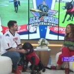 Dog Training That Helps You and Your Dog – sponsored by All-Star Dog Training