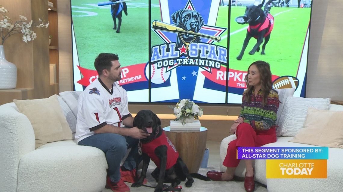 Dog Training That Helps You and Your Dog - sponsored by All-Star Dog Training 1 Dog Training That Helps You and Your Dog - sponsored by All-Star Dog Training