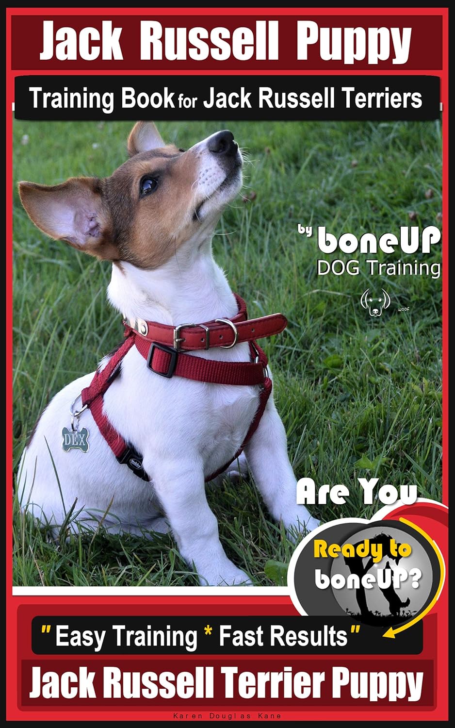 Jack Russell Puppy... 1 spaniel training books