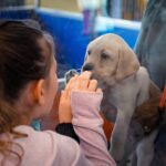 Seeing double: Blind twins from Ohio reunite in San Rafael for new guide dog training
