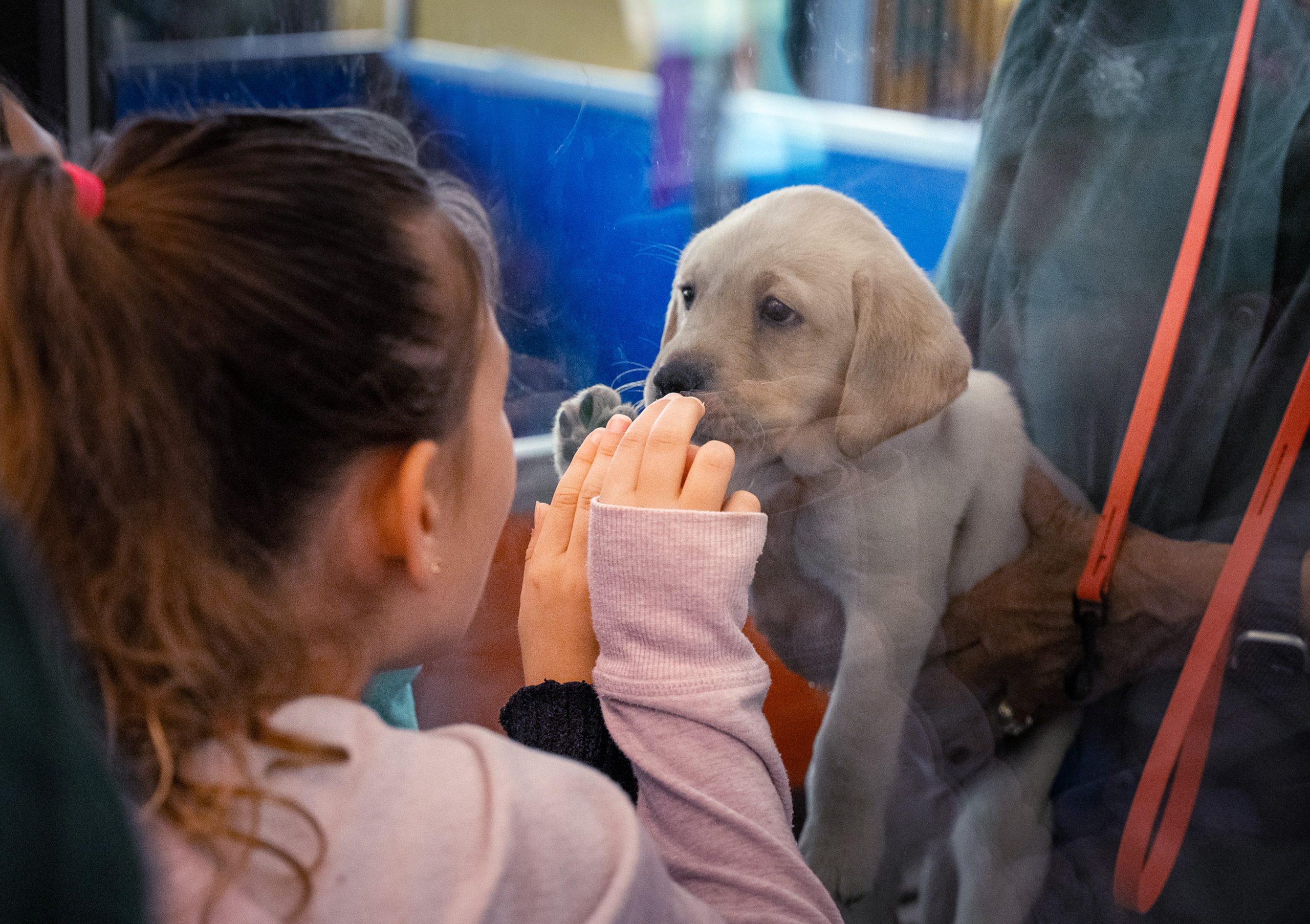 Seeing double: Blind twins from Ohio reunite in San Rafael for new guide dog training 8 Seeing double: Blind twins from Ohio reunite in San Rafael for new guide dog training