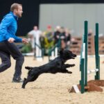 Cocker spaniel and trainer from Fishponds win national dog contest
