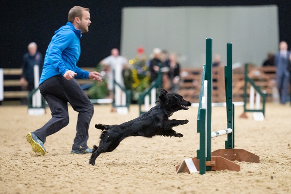 Cocker spaniel and trainer from Fishponds win national dog contest