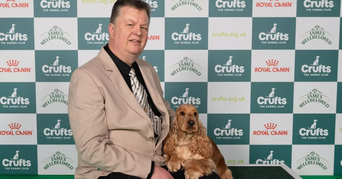 Crufts 2025 Day 3 results with Gundog group winner announced 3 Crufts 2025 Day 3 results with Gundog group winner announced