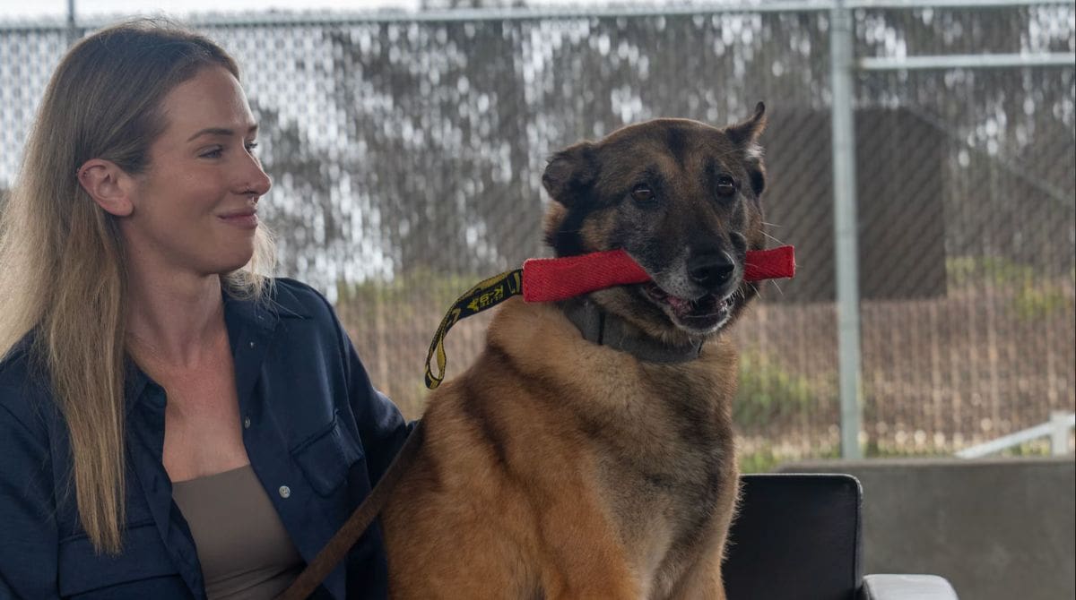 Military Working Dog Dani A248 Retires After 7 Years of Service at Vandenberg Space Force Base