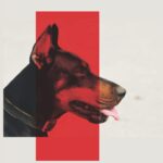 Dog Training Logbook: Tracking Dog To Help Train…