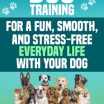 Dog Training for a Fun, Smooth, and Stress-Free…