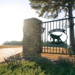 Dog Training the Wildrose Way