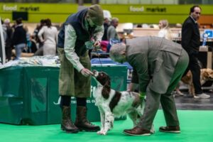 Entries open for BASC's working dog classes at Crufts 2025 3 Entries open for BASC's working dog classes at Crufts 2025