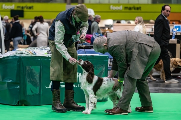 Entries open for BASC's working dog classes at Crufts 2025 1 Entries open for BASC's working dog classes at Crufts 2025