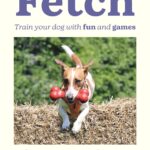 Fetch: Train your Dog with Fun and Games