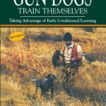 How To Help Gun Dogs Train Themselves: Taking…
