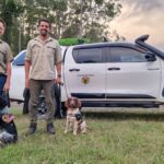 How wonder-fur! Detection dogs sniff out silent killer to save native plants and animals