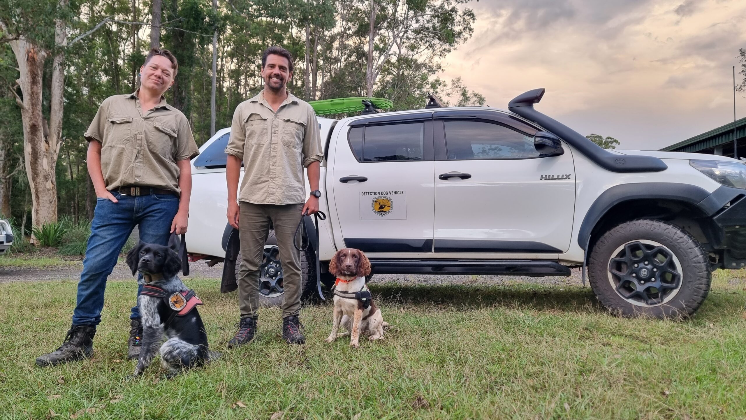 How wonder-fur! Detection dogs sniff out silent killer to save native plants and animals