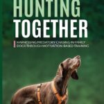 Hunting Together: Harnessing Predatory Chasing in…