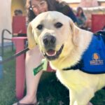 All paws on deck to honor puppy raisers, volunteers, and retiring service dogs