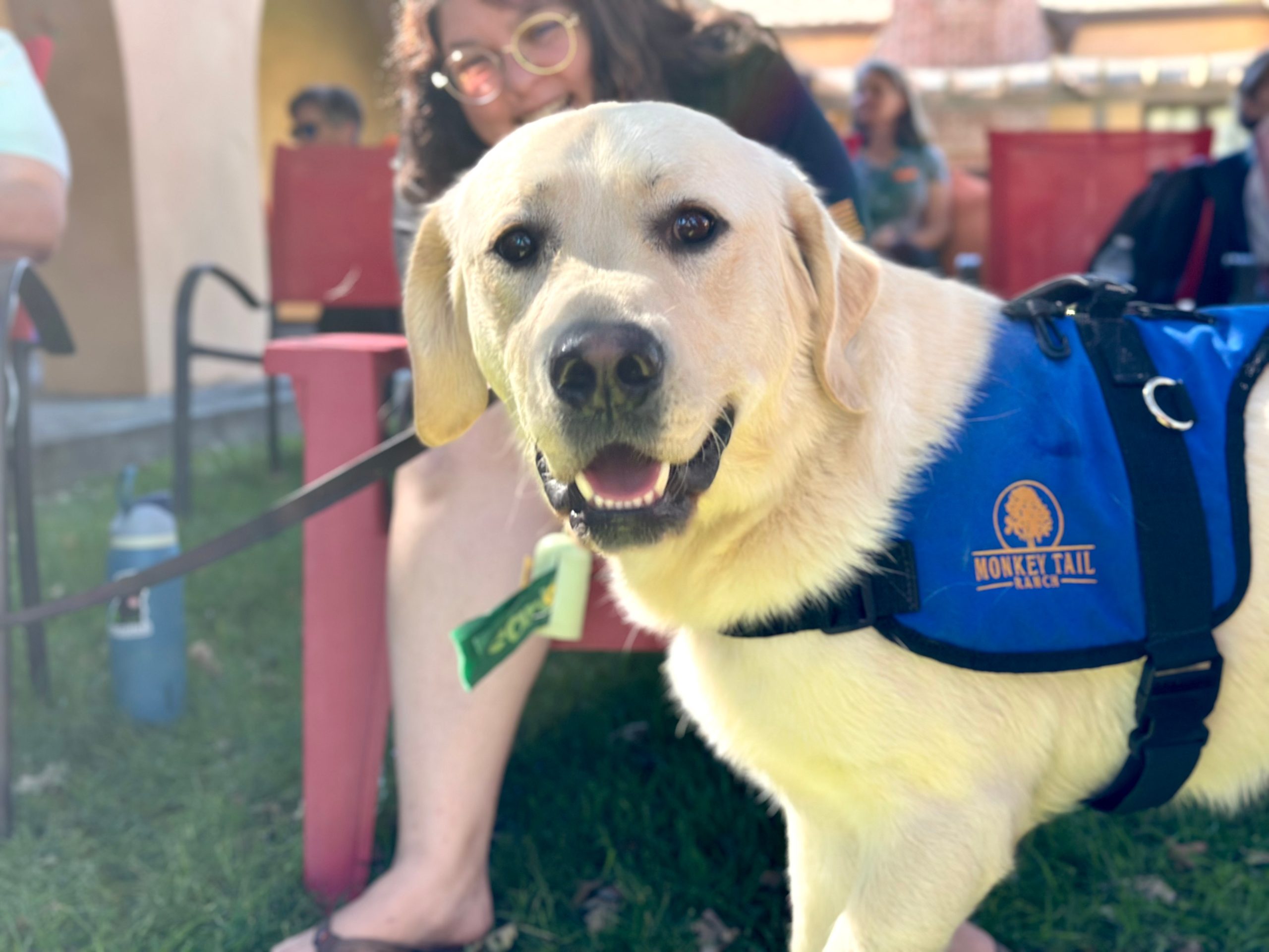All paws on deck to honor puppy raisers, volunteers, and retiring service dogs 12 All paws on deck to honor puppy raisers, volunteers, and retiring service dogs