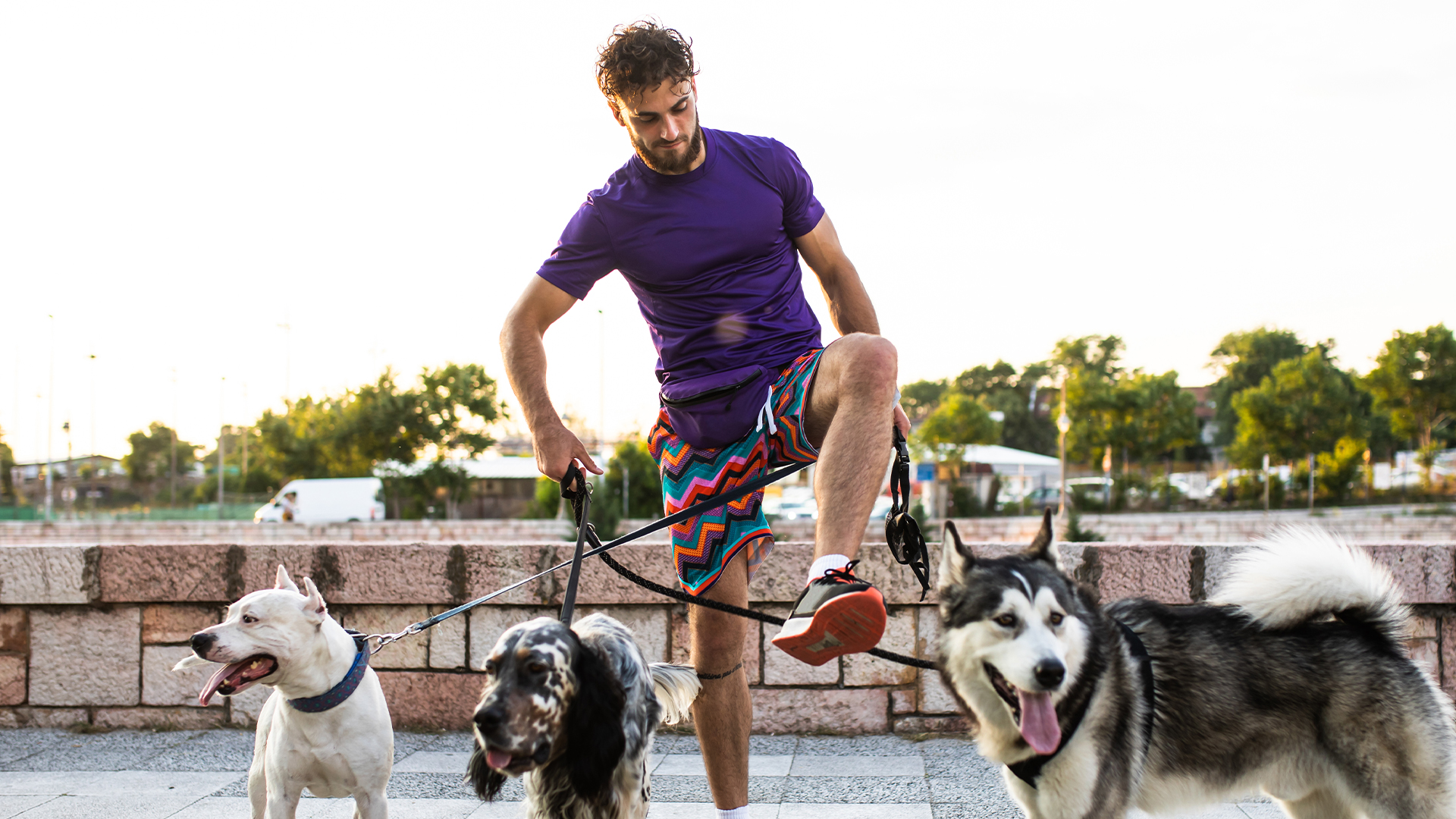 I'm a dog groomer and strongly dislike a breed that doesn't seem to understand potty training