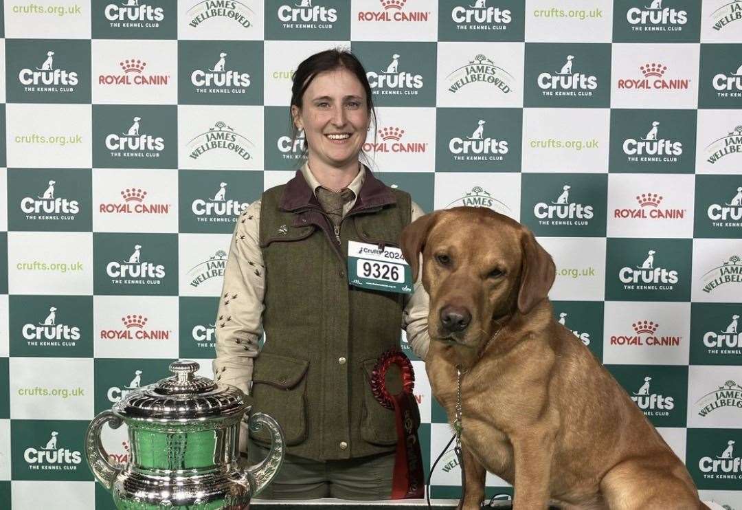 Inverness Labrador wins 'best in class' for gundogs at Crufts