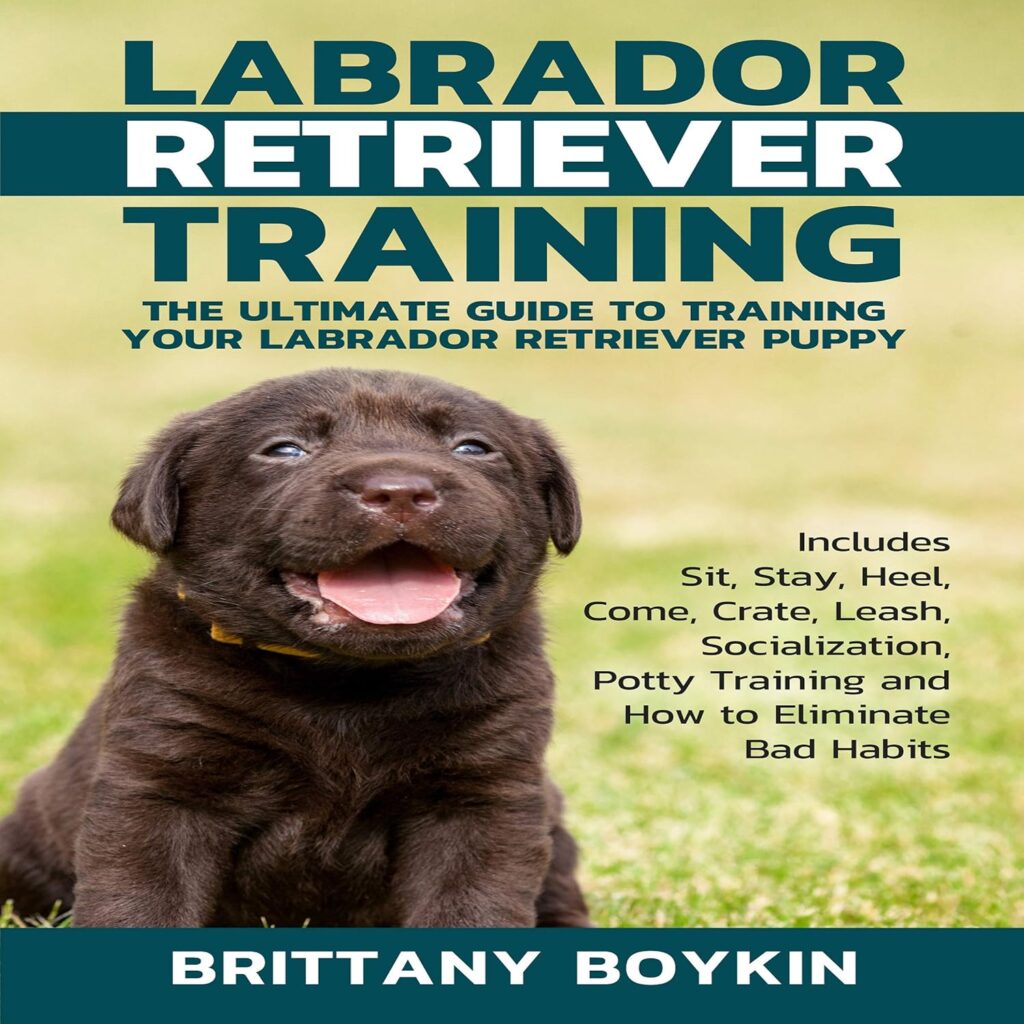 Easy Labrador Labrador Retriever Training: The Ultimate Guide To... - Easy Spaniel ...