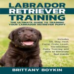 Labrador Retriever Training: The Ultimate Guide to…