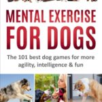 MENTAL EXERCISE FOR DOGS: The 101 best dog games…