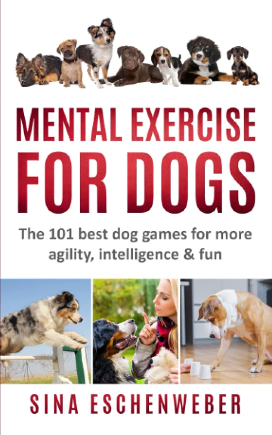 MENTAL EXERCISE FOR DOGS: The 101 best dog games…