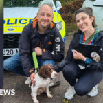 Meeting the Thames Valley Police dogs of the future