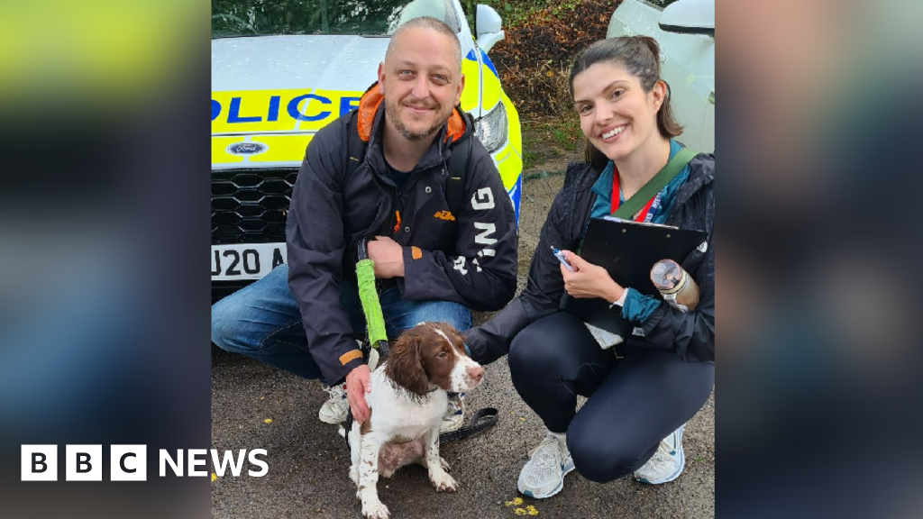Meeting the Thames Valley Police dogs of the future